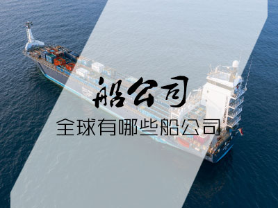 世界上较大的海运船公司包括哪些？